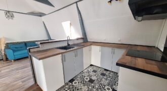 Charmant Duplex au Coeur de Briis
