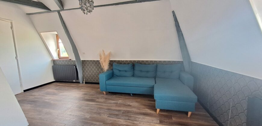 Charmant Duplex au Coeur de Briis