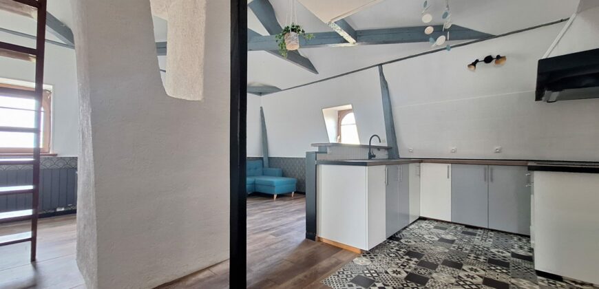 Charmant Duplex au Coeur de Briis