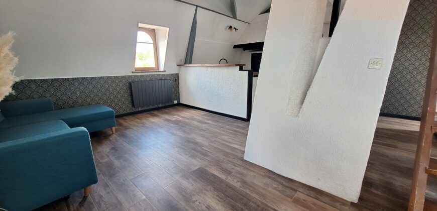 Charmant Duplex au Coeur de Briis