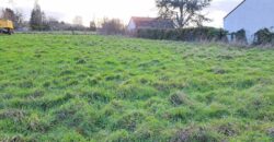 Maison bi familiale possible