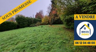 Terrain à bâtir au coeur de Briis-sous-forges