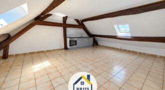 Appartement avec chambre et stationnement